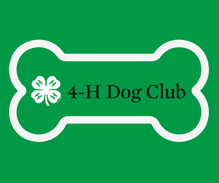 4 H Dog Club Franklin County Extension Office